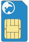 Int Flag